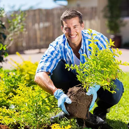 🔥⏰Last Day Surprise Price: Buy 1 Get 1 Free🔥Soil Improvement Loosening Agent🔥