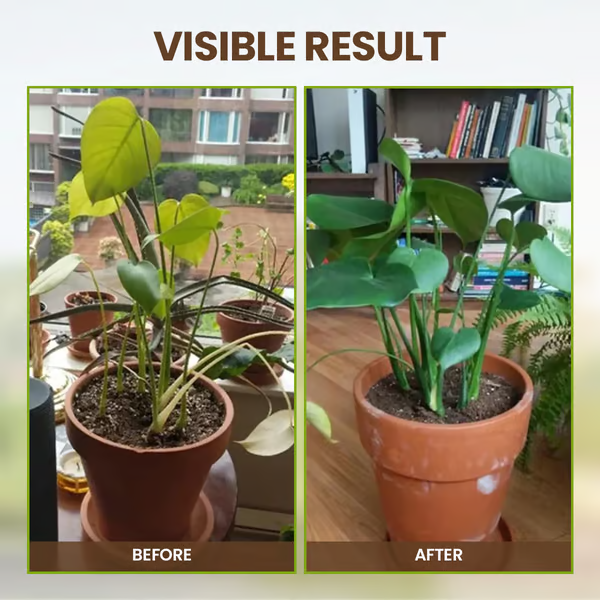 🔥⏰Last Day Surprise Price: Buy 1 Get 1 Free🔥Soil Improvement Loosening Agent🔥