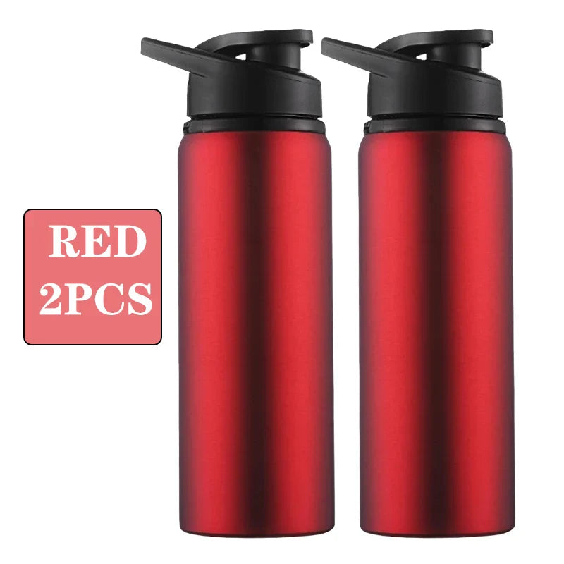 Metal Portable Water Bottle Leakproof Reusable Outdoor Sports Cup for Cycling Hiking Gym Halloween Gift Christmas Gift Travel