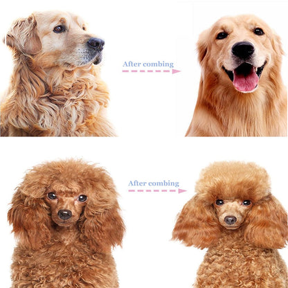 🔥Limited Time Promotion 50% OFF🔥Professional Deshedding Tool For Dogs And Cats
