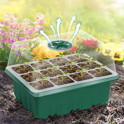 💎50% OFF! 💎 Grow Trays with Grow Light – Humidity Control, Transparent, and Full-Spectrum Light 🌱💡