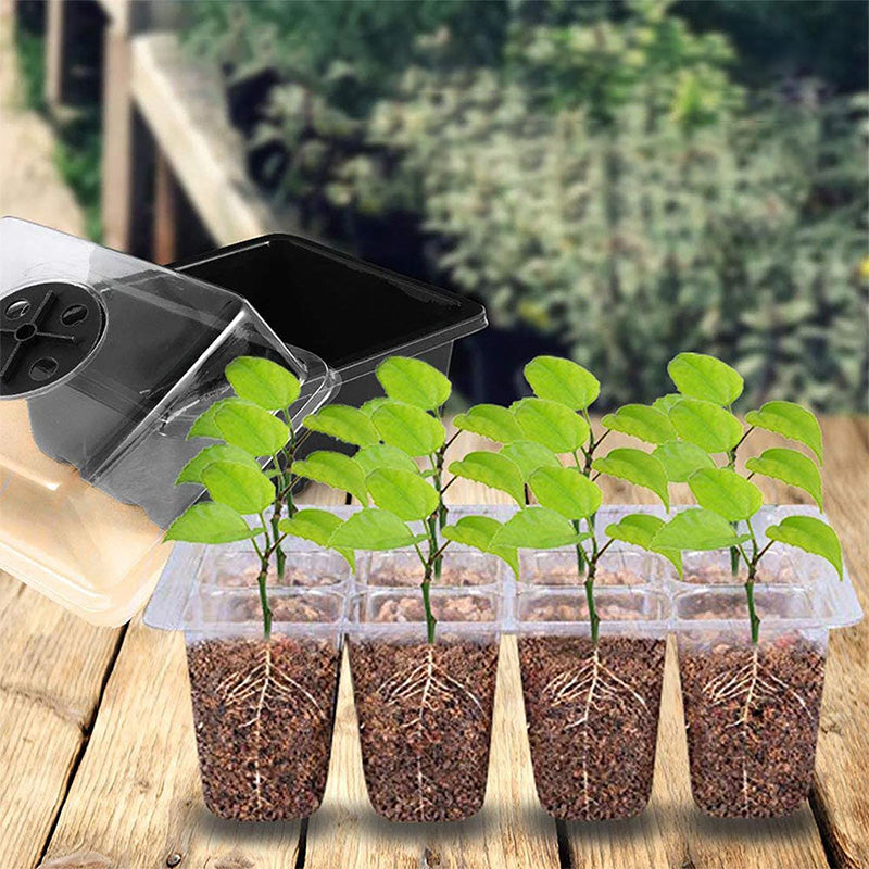 💎50% OFF! 💎 Grow Trays with Grow Light – Humidity Control, Transparent, and Full-Spectrum Light 🌱💡