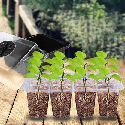 💎50% OFF! 💎 Grow Trays with Grow Light – Humidity Control, Transparent, and Full-Spectrum Light 🌱💡