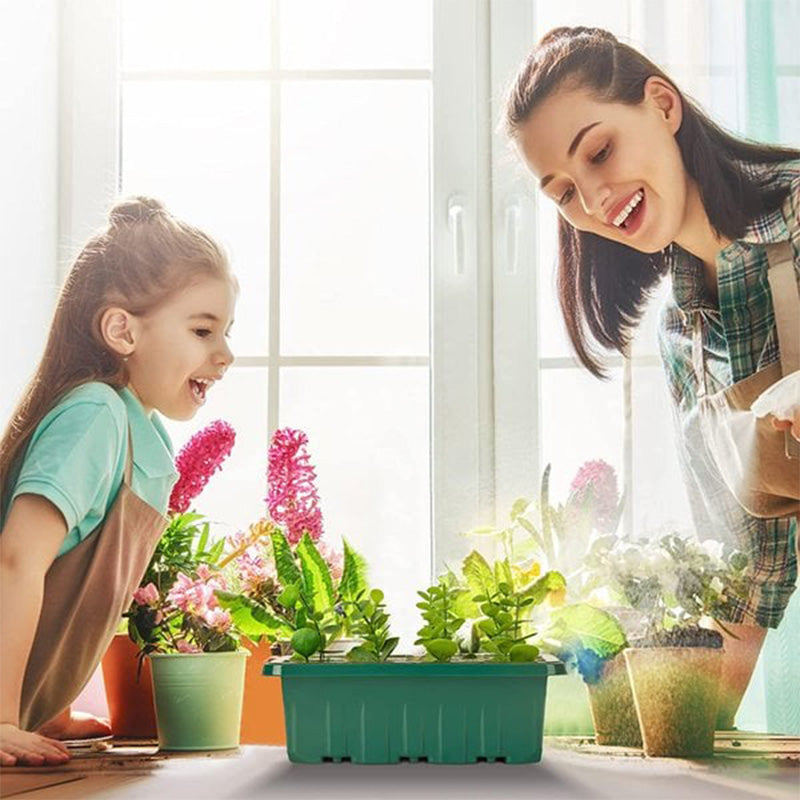 💎50% OFF! 💎 Grow Trays with Grow Light – Humidity Control, Transparent, and Full-Spectrum Light 🌱💡