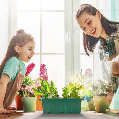 💎50% OFF! 💎 Grow Trays with Grow Light – Humidity Control, Transparent, and Full-Spectrum Light 🌱💡