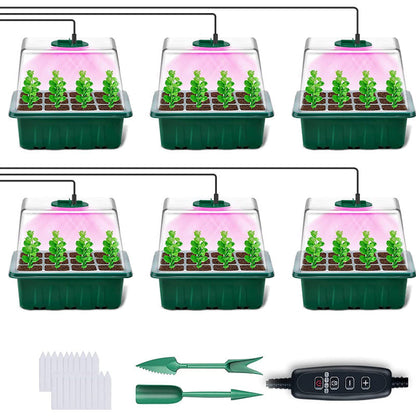 💎50% OFF! 💎 Grow Trays with Grow Light – Humidity Control, Transparent, and Full-Spectrum Light 🌱💡
