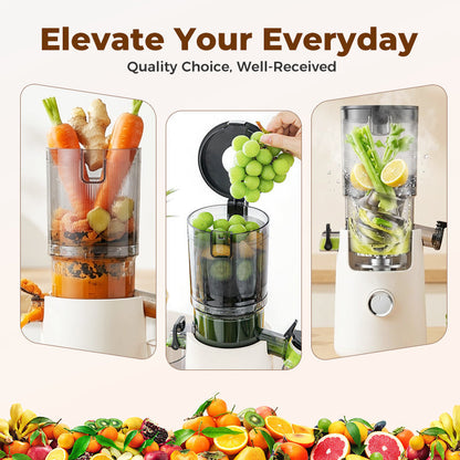🔥Limited Time Offer 50%OFF⏰✨Wide-Mouth Slow Juicer for Whole Fruits