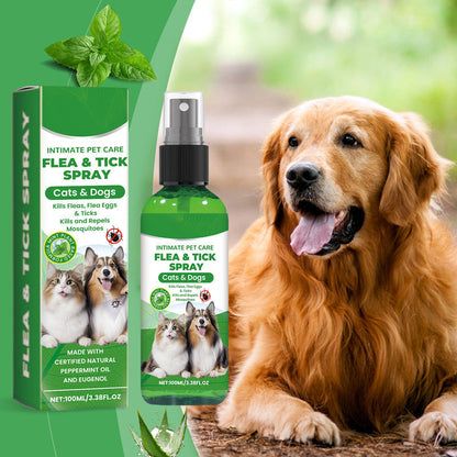 💜LAST DAY -BUY 2 GET 1 FREE💜50K+ SOLD!✨🐶🐱Natural Flea & Tick Spray for Dogs and Cats